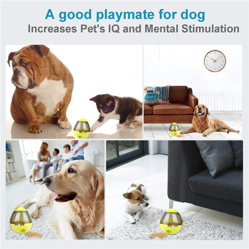 Playful Pet Dispenser